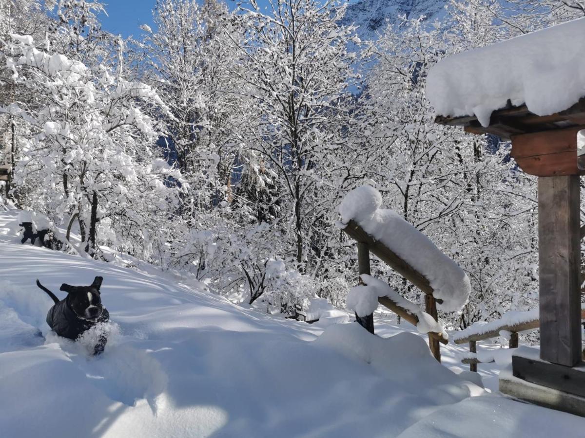 Dolomiti House Hotel Cibiana ภายนอก รูปภาพ