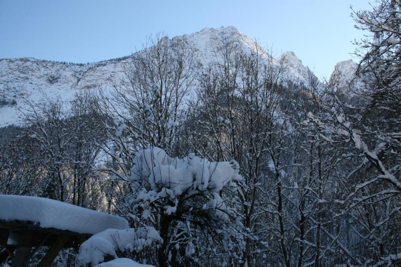 Dolomiti House Hotel Cibiana ภายนอก รูปภาพ