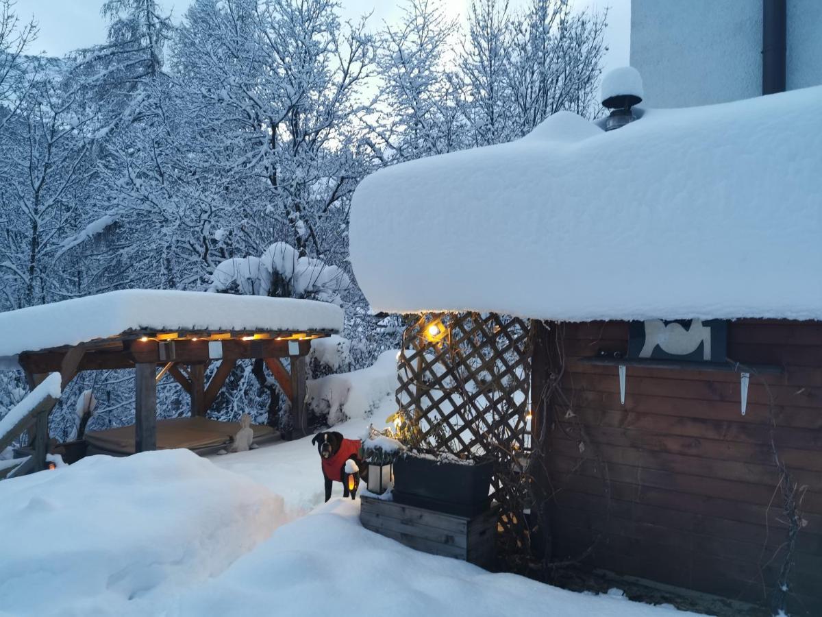 Dolomiti House Hotel Cibiana ภายนอก รูปภาพ