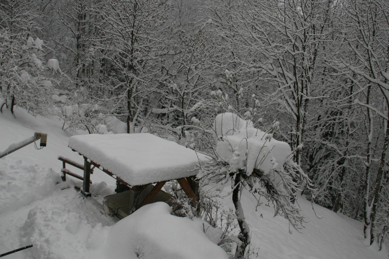 Dolomiti House Hotel Cibiana ภายนอก รูปภาพ
