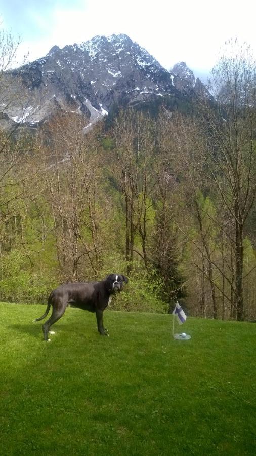 Dolomiti House Hotel Cibiana ภายนอก รูปภาพ